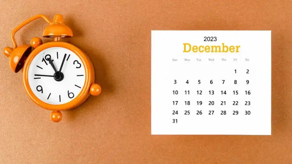 Pensione di Cittadinanza Dicembre 2023: Date di Pagamento e Requisiti
