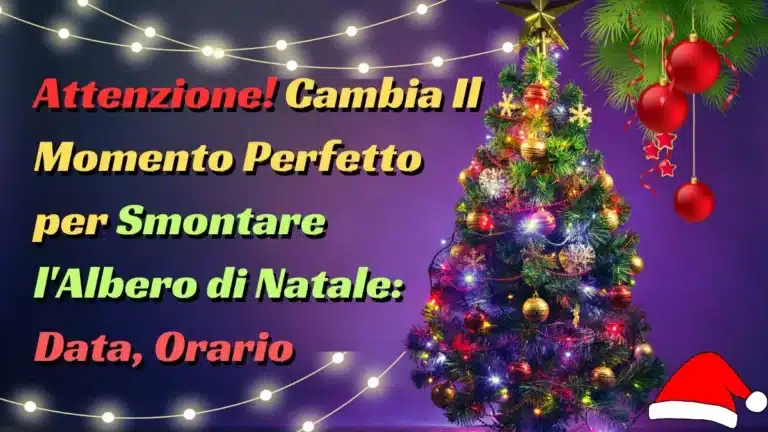 Attenzione! Cambia Il Momento Perfetto per Smontare l'Albero di Natale: Data, Orario