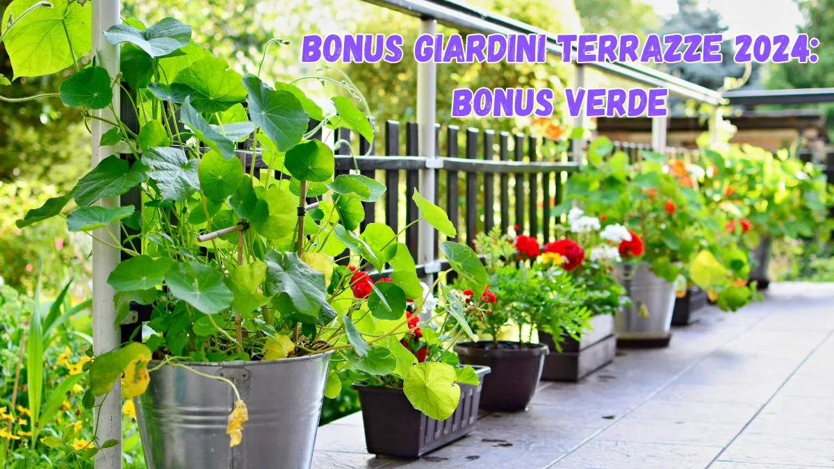 Bonus Giardini Terrazze 2024: Bonus Verde - Richiedilo ed ottieni fino a 1.800 euro