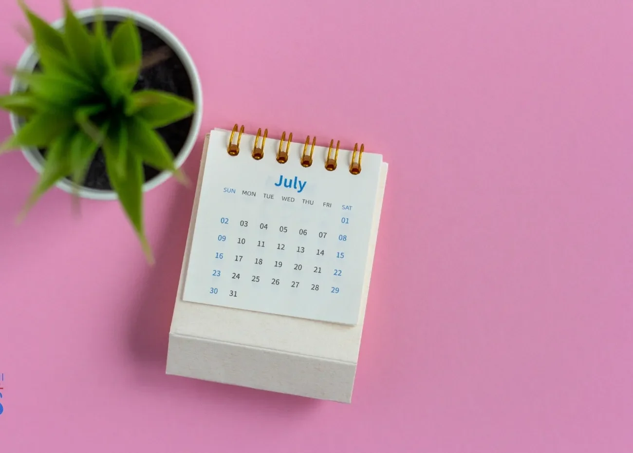 Assegno Unico di Novembre 2025